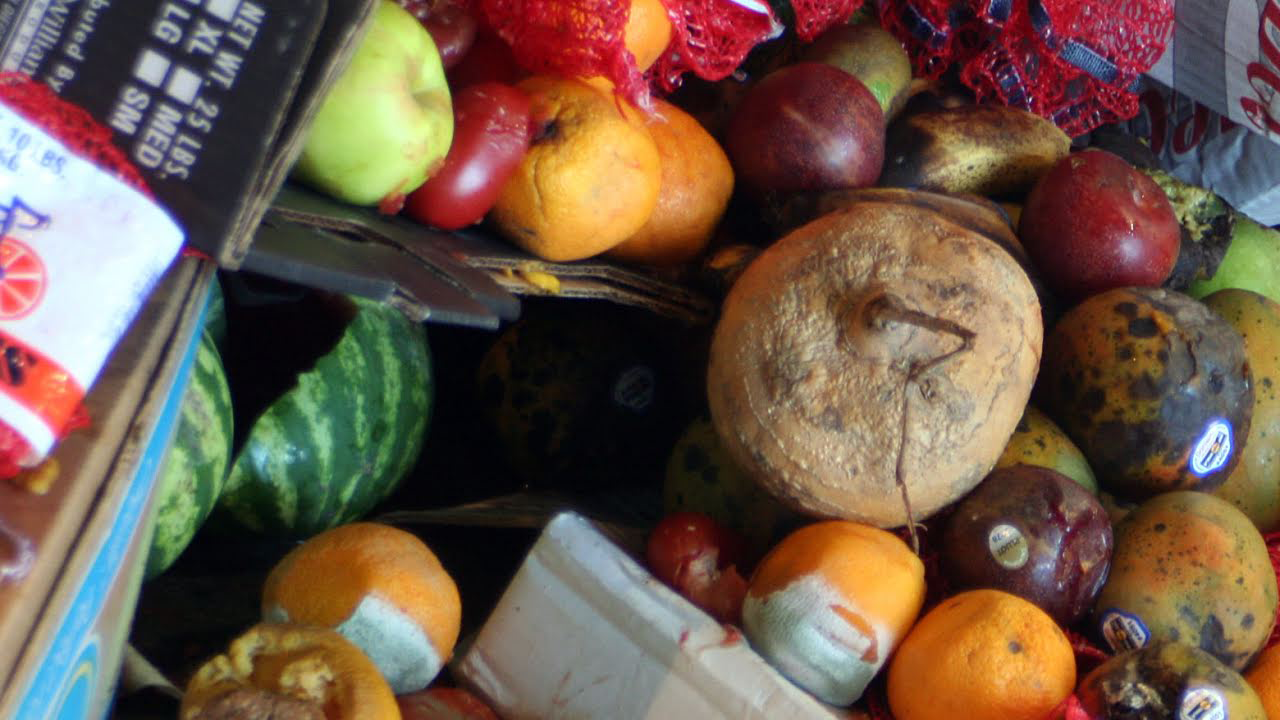 Recipes to prevent food waste