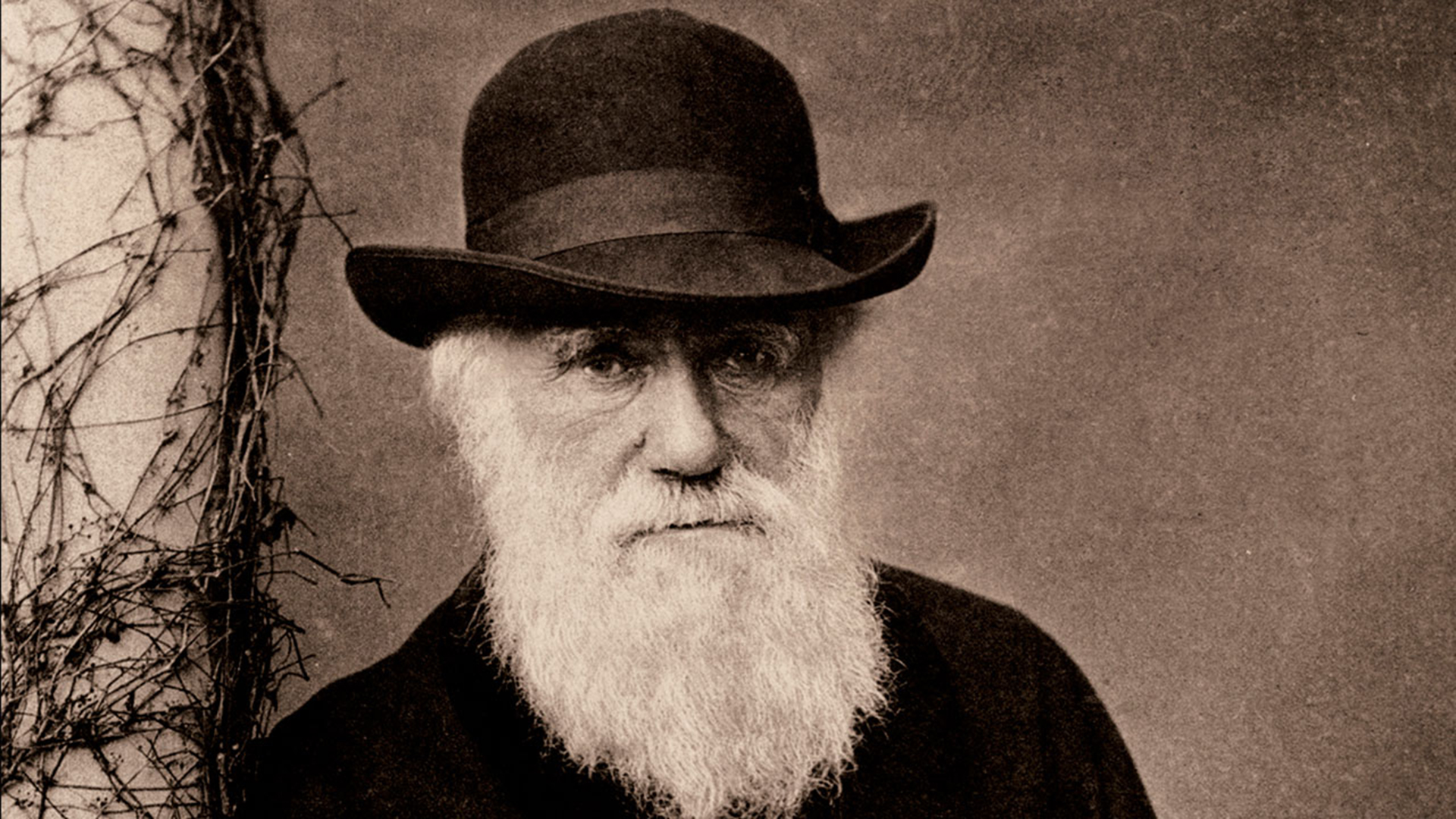 O naturalista inglês Charles Darwin, cujo aniversário de nascimento será comemorado com exibição de filmes no Museu / Foto: Domínio Público