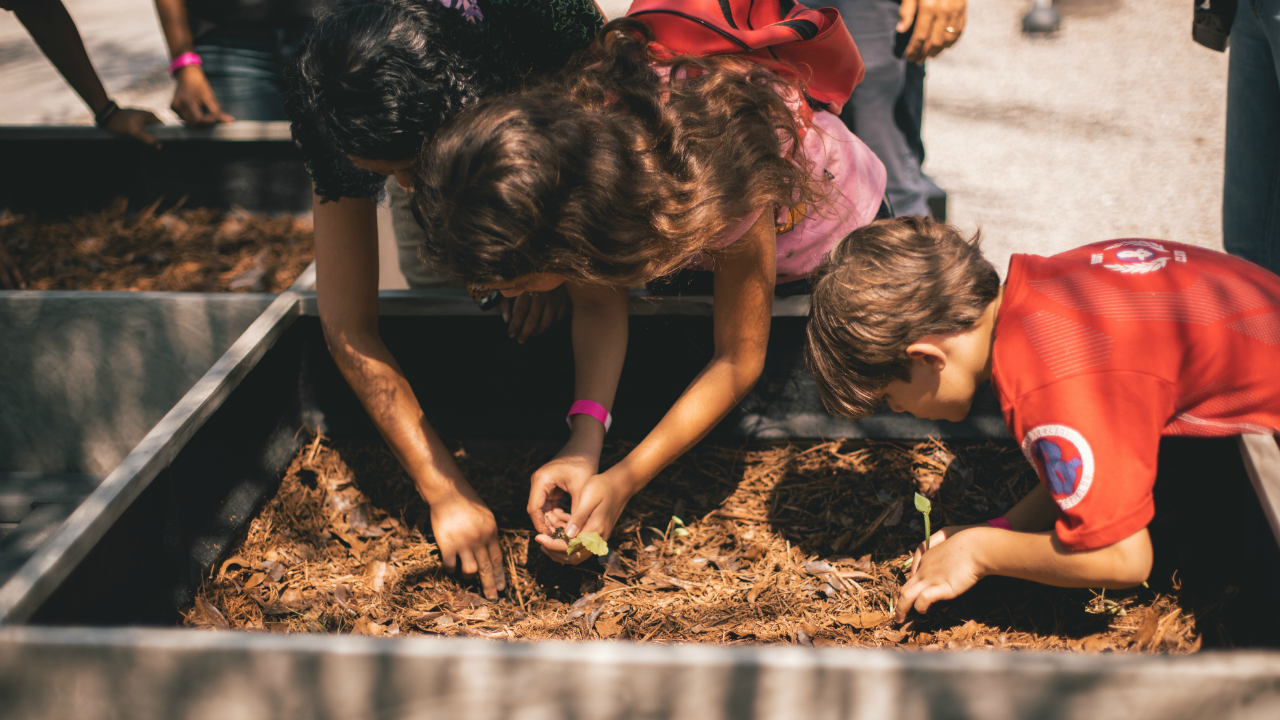 Crianças plantam mudas na horta do Museu do Amanhã