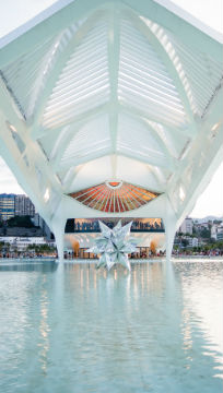 Parte de trás do Museu do Amanhã com estrela prata dentro do espelho d'agua / Foto: Derek Mangabeira