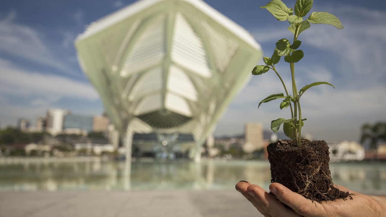 Uma mão segurando uma muda de planta com o Museu do Amanhã ao fundo