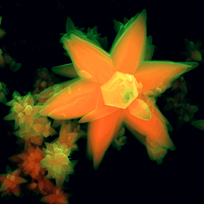 Imagem microscópica científica com formato que lembra uma flor