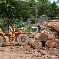 Homem conduzindo um trator empilhando troncos de árvores cortadas