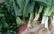 Verduras orgânicas à venda no evento